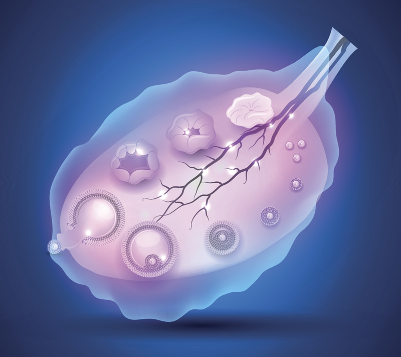 2026沈阳三代试管医院排名最新汇总：都是沈阳正规且靠谱的